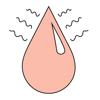 Noughty haircare vegan cruelty free paraben free sulphate free quickly greasy after washing